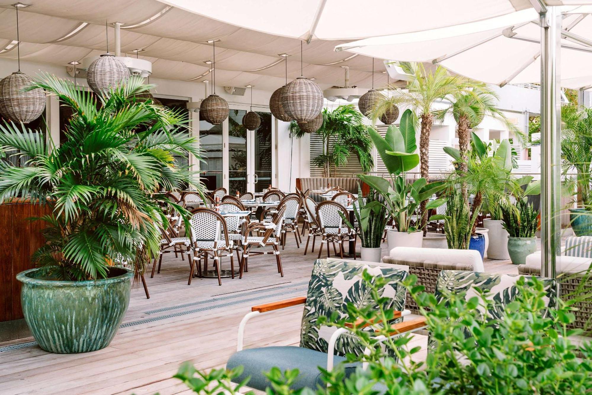 Nautilus Sonesta מיאמי ביץ' מראה חיצוני תמונה The Terrace at The Ivy